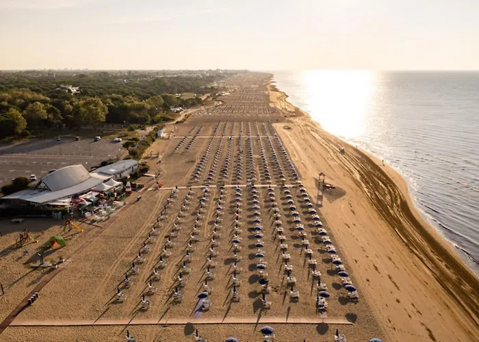 Inviting Calm And Bright Flat Near The *