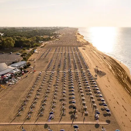 Inviting Calm And Bright Flat Near The *