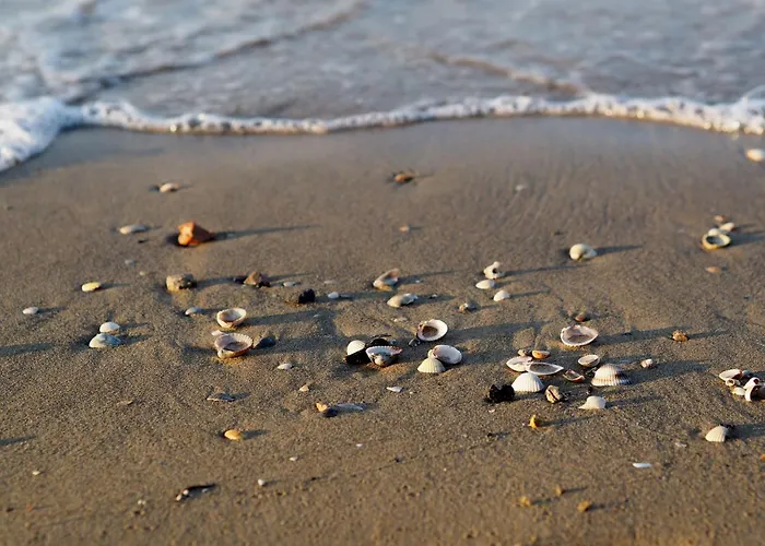 Inviting Calm And Bright Flat Near The Daire Bibione